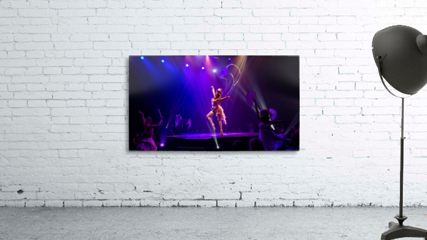 Cirque Le Noir Dance Wall Preview