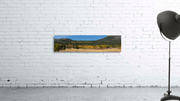 Hope Valley Wall Preview