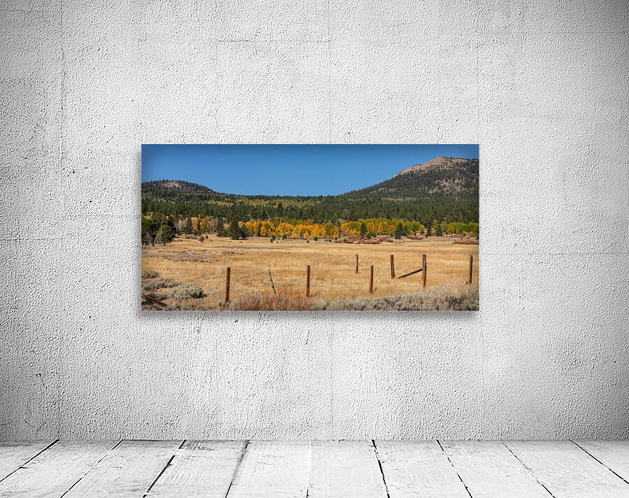 Hope Valley Fence Line Wall Preview
