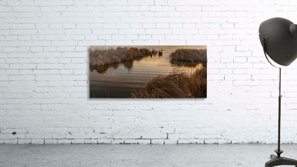 Wetland Wall Preview