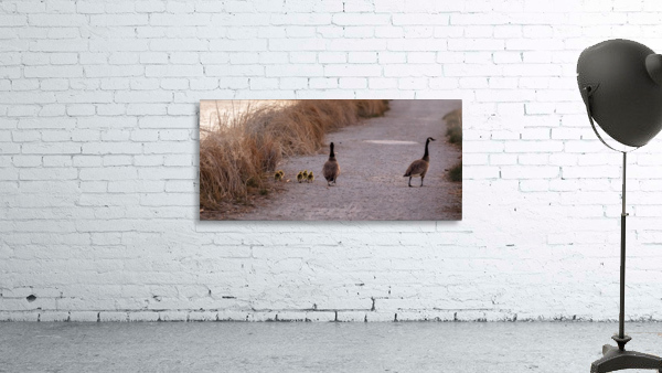 Out for a Walk Wall Preview