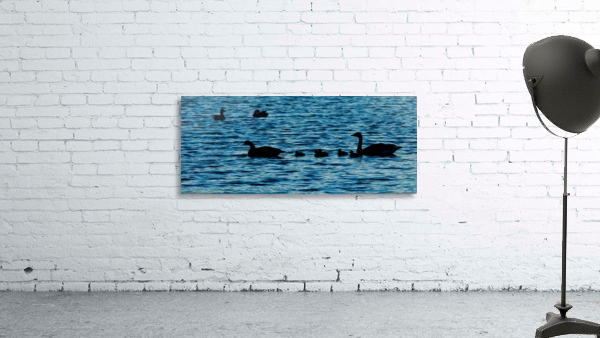 Swim Time Wall Preview