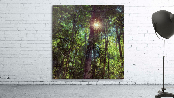 Shine On Wall Preview
