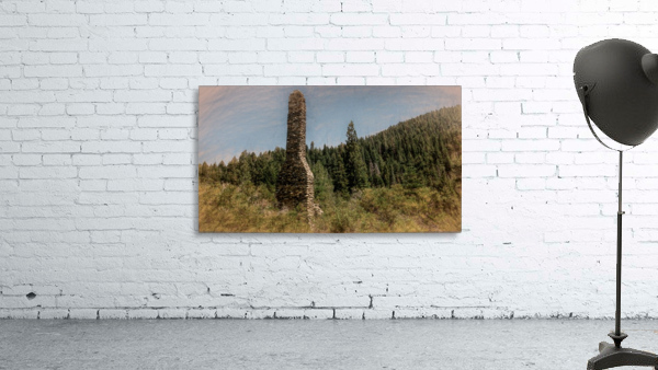 Lost Cabin Wall Preview