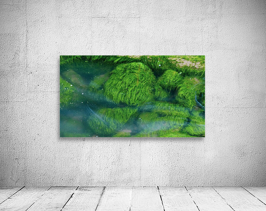Submerged Slimey Rocks Wall Preview