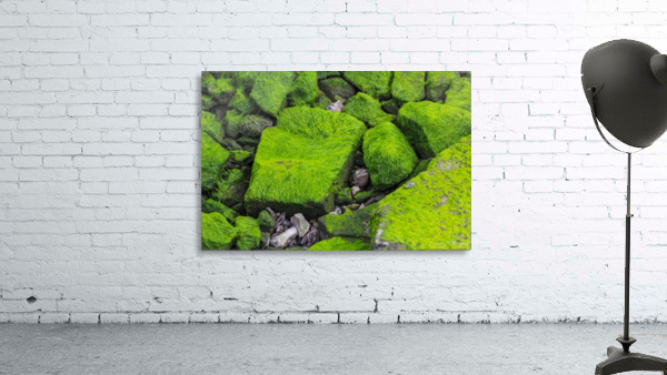 Slimey Rocks Wall Preview