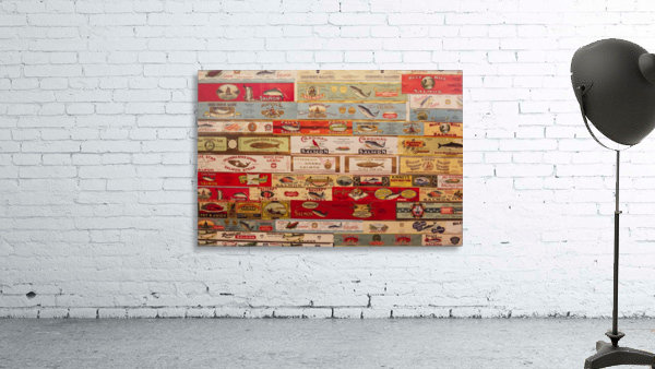 Salmon Salmon Salmon Wall Preview