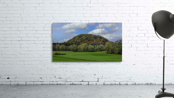 Tree Covered Hill Wall Preview