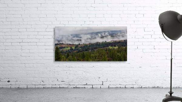 Foggy Vineyards Wall Preview