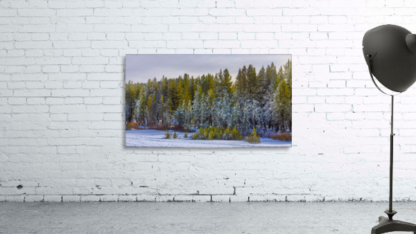 Winter Treeline Wall Preview