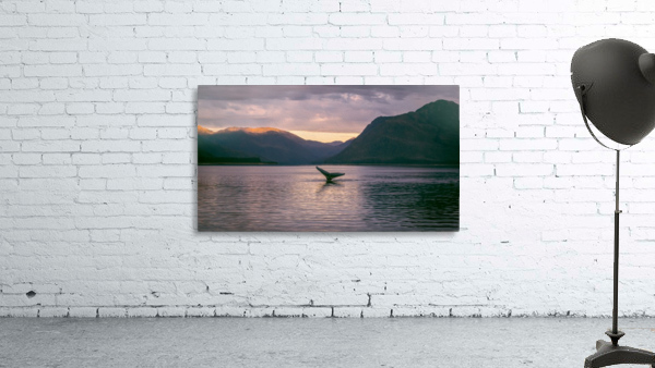 Whale Tail Alaska Wall Preview