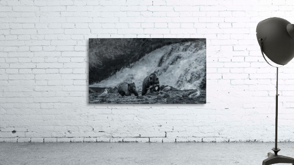 Fishing with Bears Wall Preview