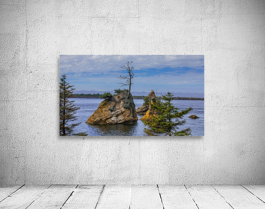 Oregon Coast 1 Wall Preview