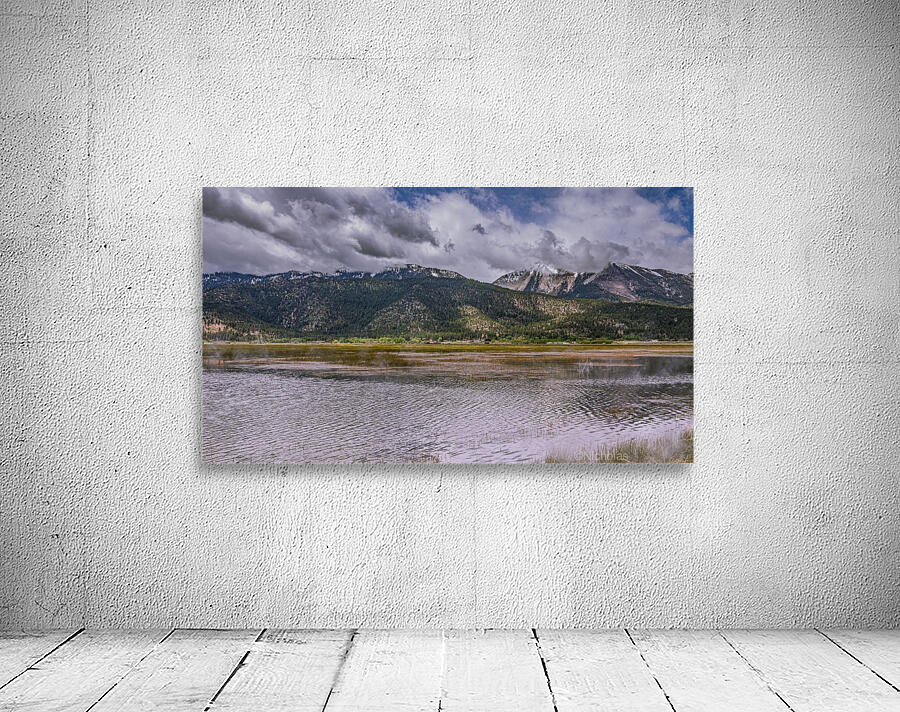 Misty Washoe Valley Wall Preview