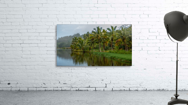 Lagoon Wall Preview
