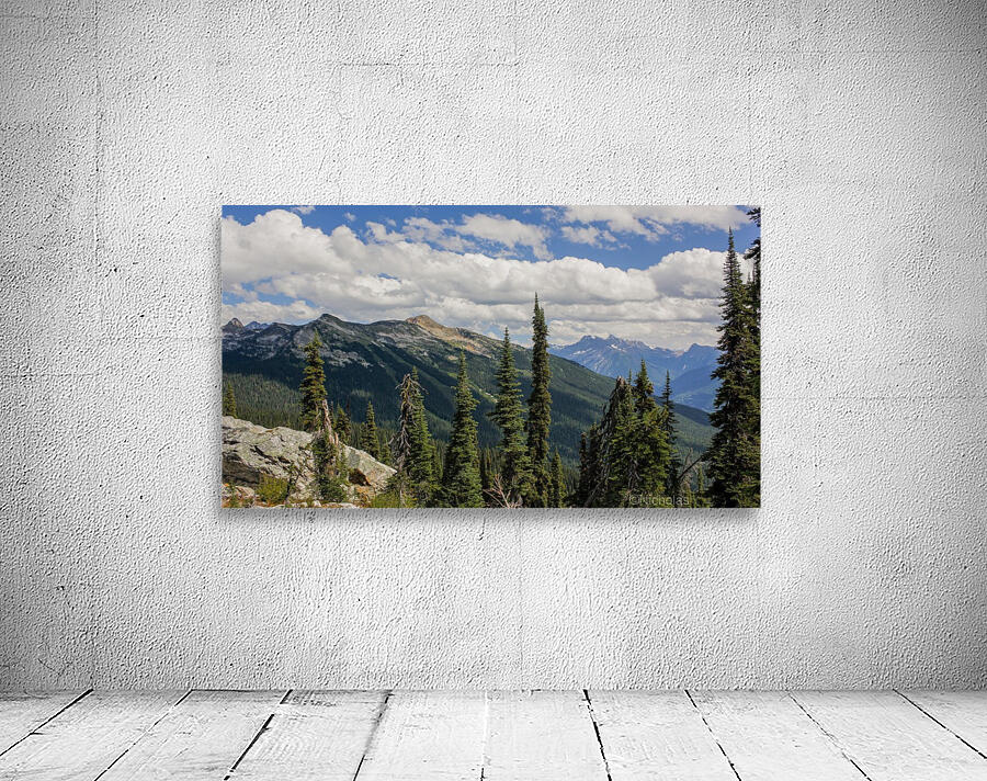 Meadows In The Sky 2 Wall Preview