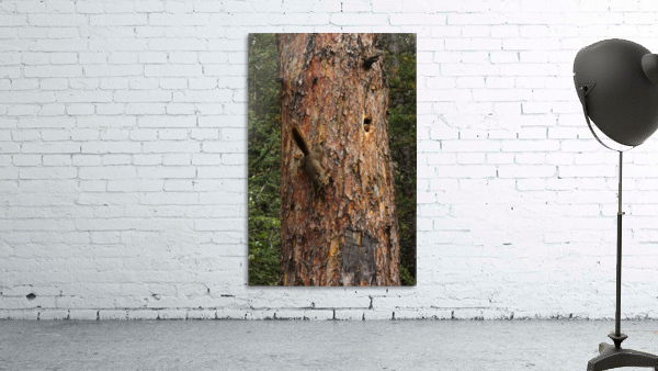 Chipmonk Tree Wall Preview