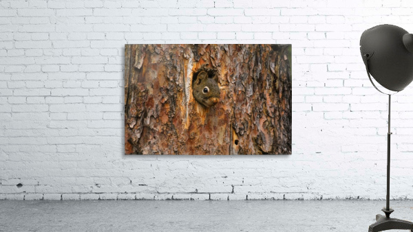 Chipmonk Home Wall Preview