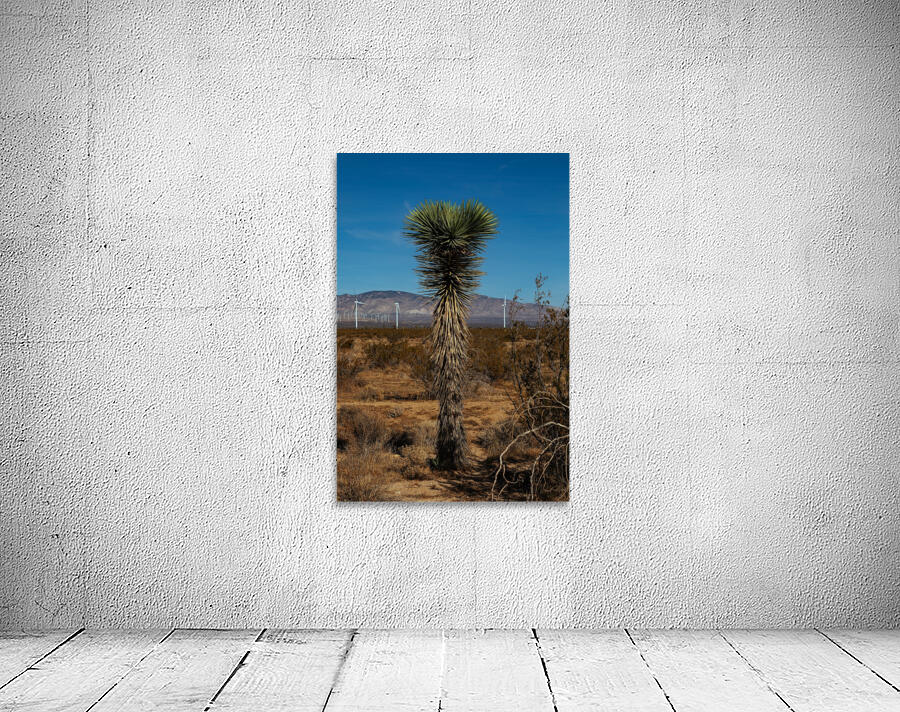 Joshua Tree Wall Preview