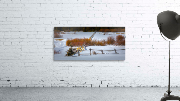 Snow Covered Meadow Squaw Valley Wall Preview