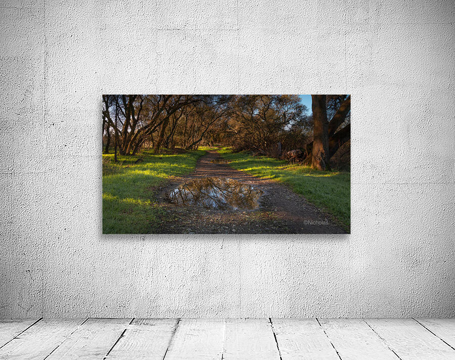 Reflecting Pond Wall Preview