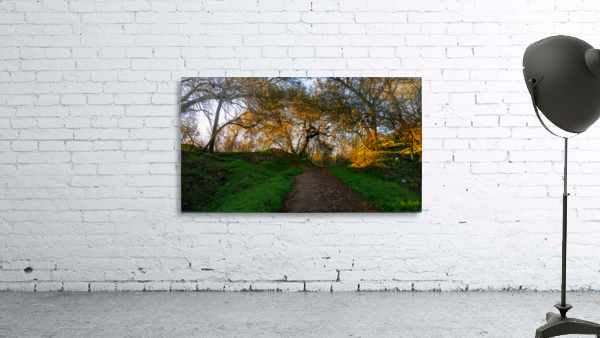 Up the Trail Wall Preview