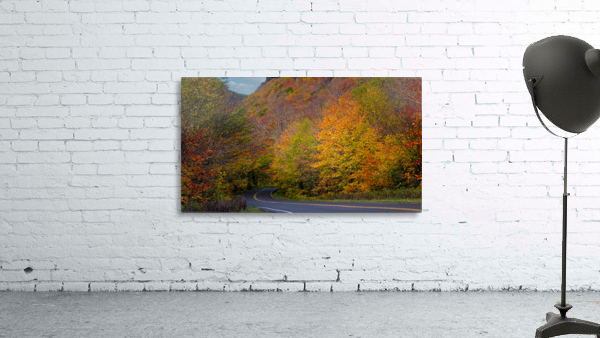 Swallowed by Fall Colors Wall Preview