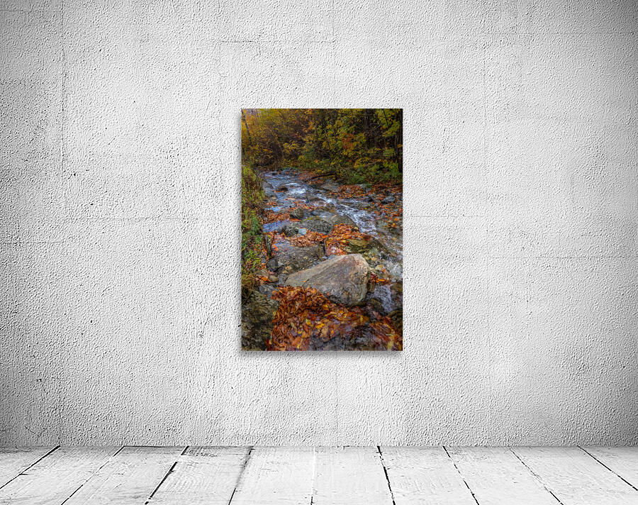 Leaf Filled Creek Wall Preview