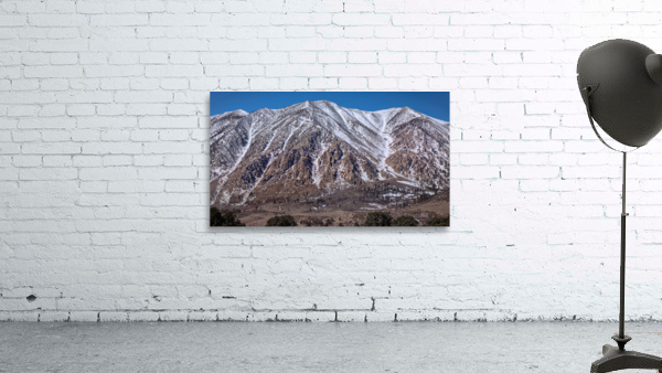 801A4706 Wall Preview