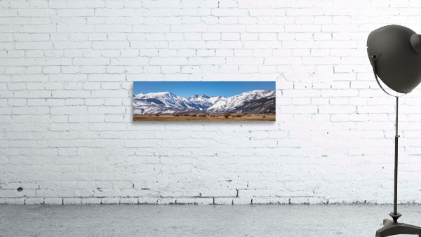 Bishop Valley Wall Preview