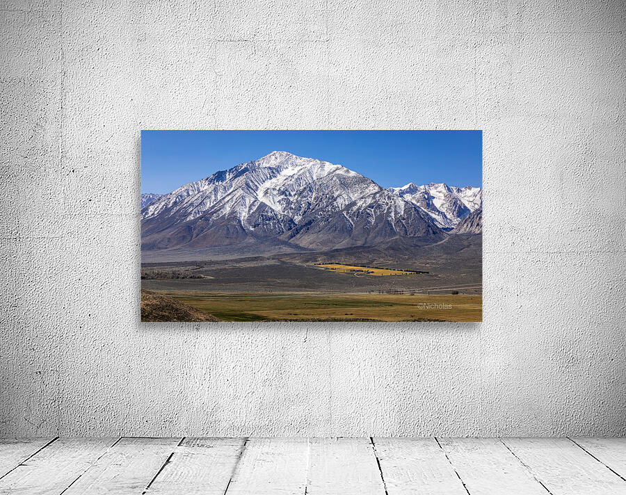 801A4721 Wall Preview