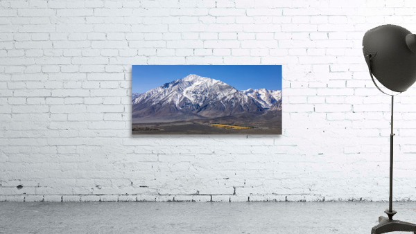 The Best Location Wall Preview