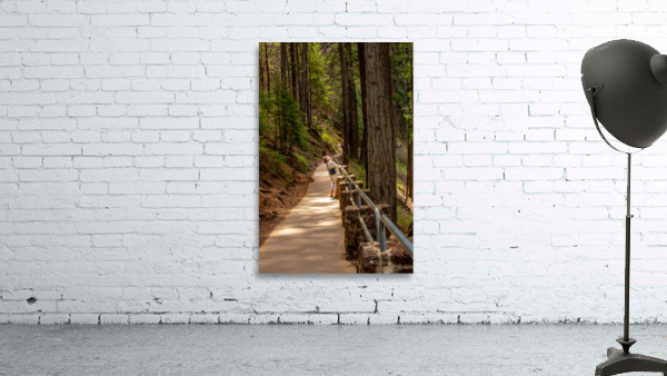Burney Falls Walk Wall Preview