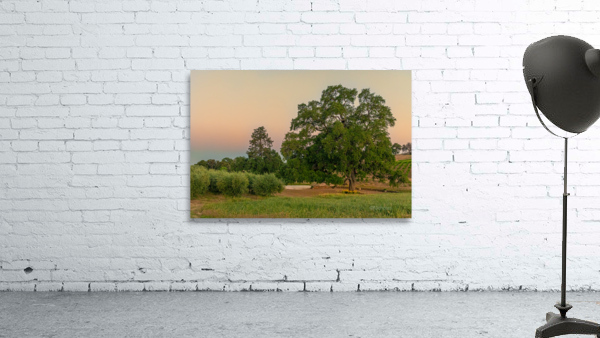 Helwig Winery   Wall Preview