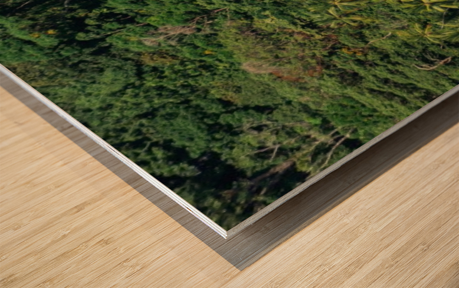 Costa Rica Beach Panorama  Wood print