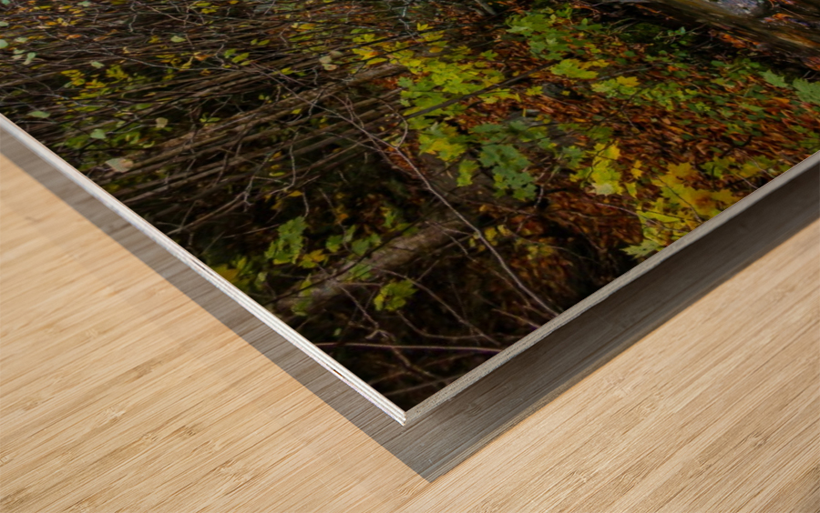 A Bigger Fall Strem Wood print