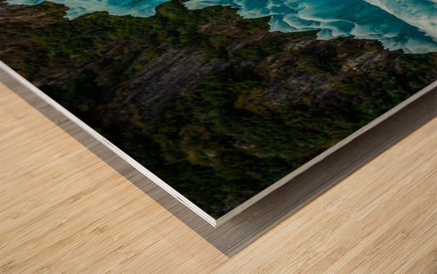 Prickely Iceburg Wood print