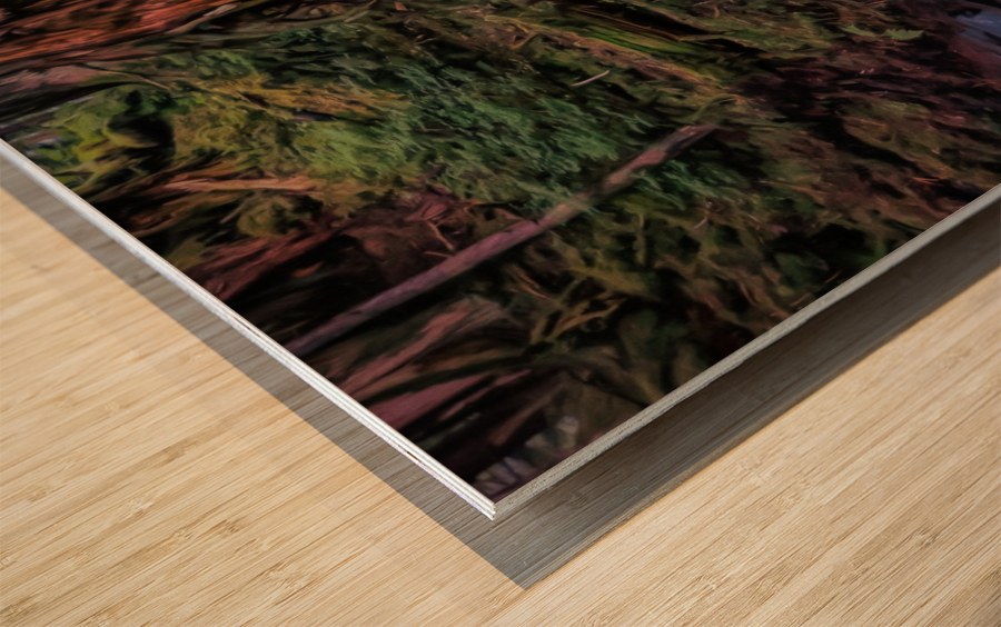 Is there anybody in there Wood print