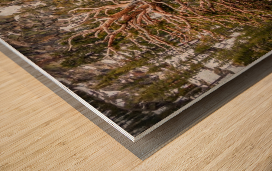 Twigs and Branches Wood print