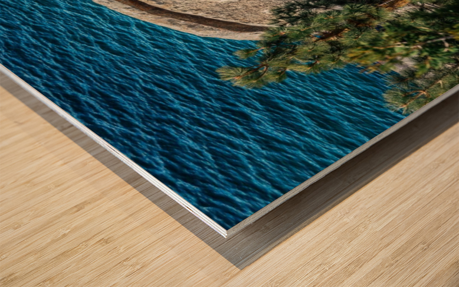 Scarab Rock Wood print