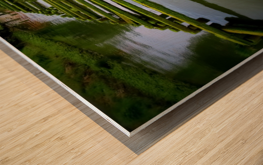 Dock in Decay Wood print