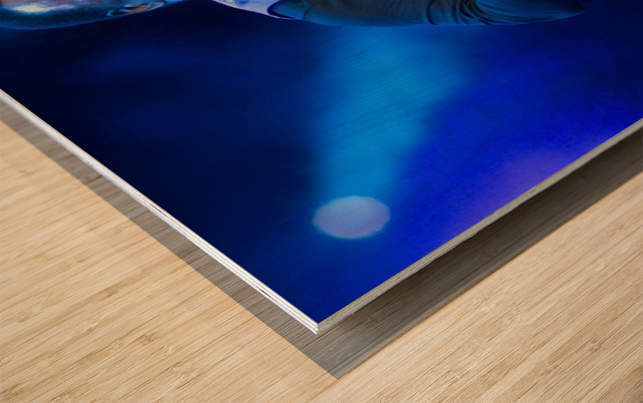 George Bensen 2 Wood print