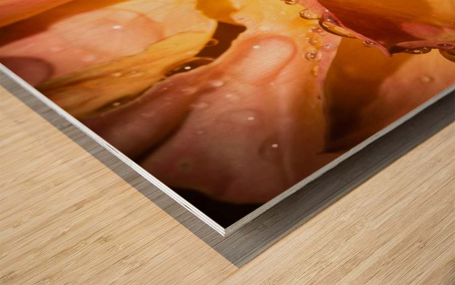 Rose Garden Portland Wood print