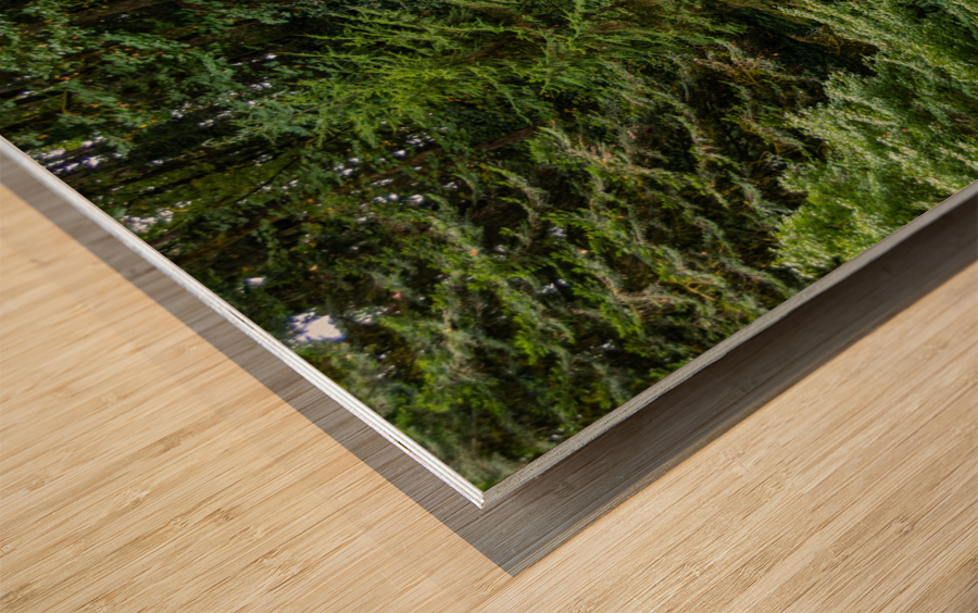 Japanese Garden Portland 13 Wood print