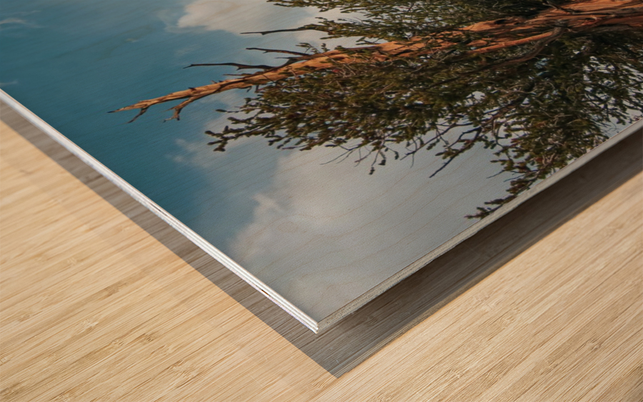 To The Top Wood print