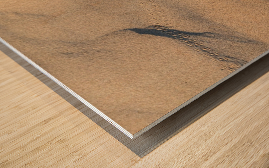 Out for a strole Wood print