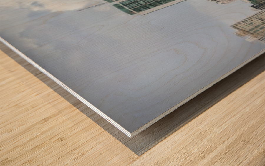 Panama City Panorama Wood print