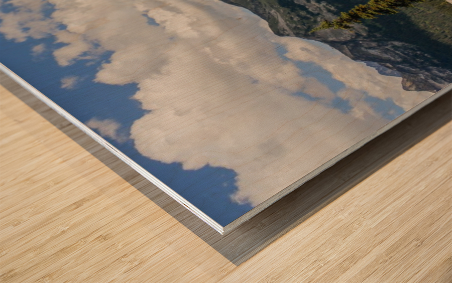 Meadows In The Sky 2 Wood print