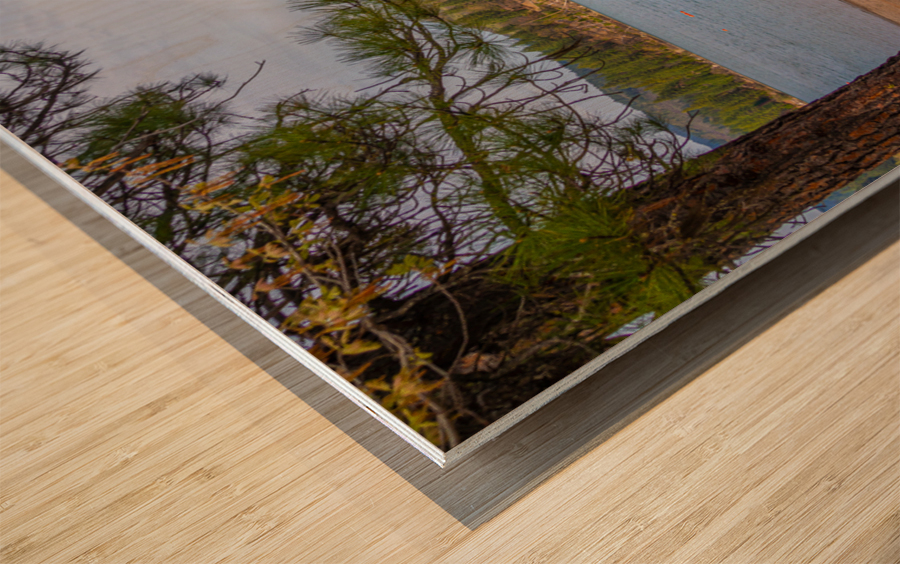 Lake Britton Swimming Area Wood print