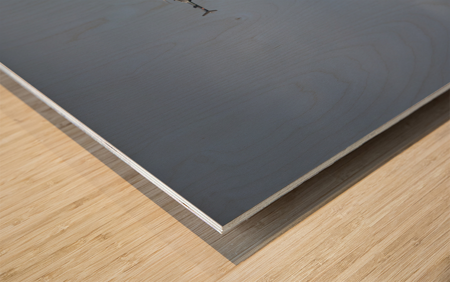 Liberty Fly By Wood print